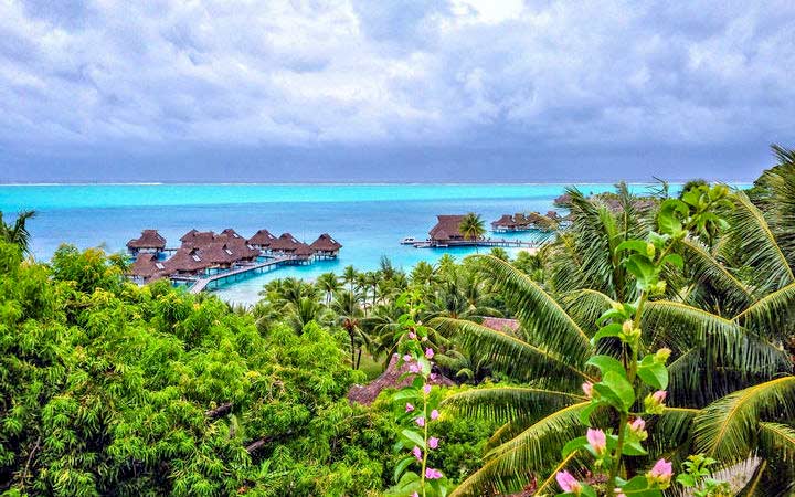 Tahaa 